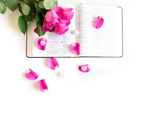 Pink Bible flat lay with: pink rose petals, open Bible, pearls. White and bright with space for text