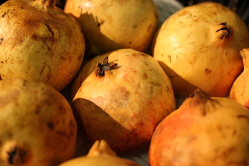 Fresh pomegranate in supermarket