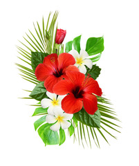 Red hibiscus and fragipani flowers with green tropical leaves in exotic arrangement