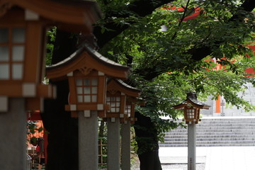 paths lights in pagoda style