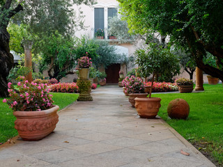 Montagnana, ITALY - August 26, 2019: Small green courtyard with olive and flowers.
