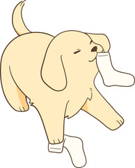 ゴールデンレトリバーの子犬（いたずら/靴下）