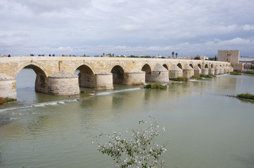Fototapeta premium コルドバ ローマ橋