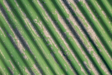 Grunge green flaked slate background. Abstract painted diagonal backdrop.