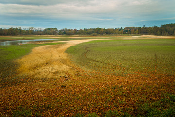 Lake bottom in time of drought