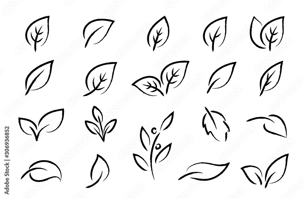 Wall mural hand drawn black leaf branch icons eco set