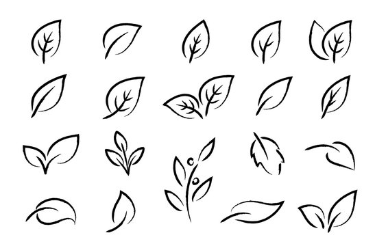hand drawn black leaf branch icons eco set