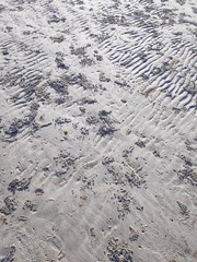 Abstract sea background