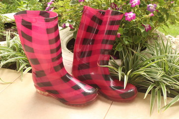 Botas de jardinería