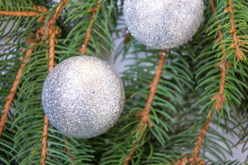 Close-up of shiny christmas toys, balls with glitter, branches of pine tree on white background