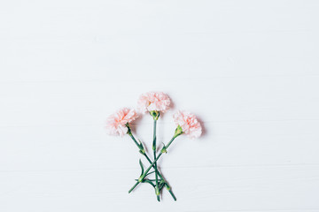 Beautiful pink carnation flowers on white wooden background