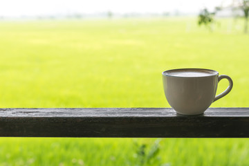 Cup of black coffee and spilled coffee beans.Milk coffee latte in cup with field in green tone background