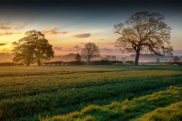 Fototapeta na wymiar Farmland sunrise and trees landscape
