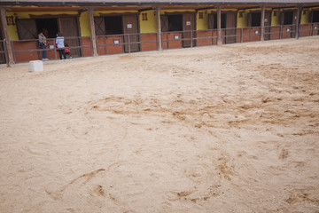Obraz premium A large arena with sand for horses . Elite Horse and Polo Club . training ground. horse club. Sand Stadium for horseback riding. Horse home . Horse stables .