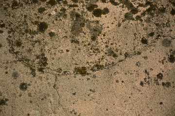 Old concrete wall, seamless texture background photo, ancient
