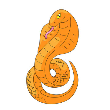 Snake vector illustration