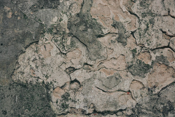 Old concrete wall, seamless texture background photo, ancient