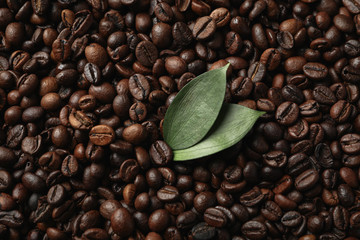 Textured background of coffee beans with leaf, close up