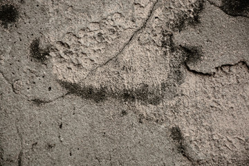 Old concrete wall, seamless texture background photo, ancient