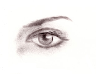 black and white graphic drawing isolated beautiful human female eye