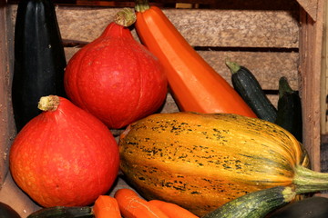 Pumpkin, courgettes and zucchini in a wooden box