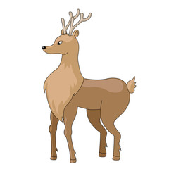 Deer vector doodle
