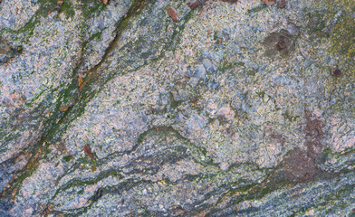 Stone in scandinavian woods. Texture of stone. Background photo with space for text. Swedish, Scandinavian nature.