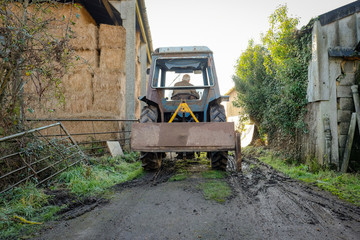Fototapeta na wymiar Farm tractor seen progressing between a straw barn and outbuilding, on the way to clear slurry at a dairy farm. A scoop can be seen on the rear of the tractor.