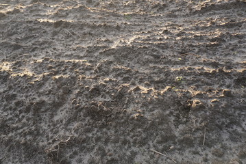 frozen plowed soil in winter