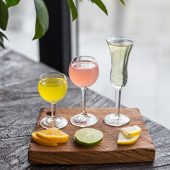 Assorted Homemade Citrus Liqueurs Limoncello Served with Orange, Lime and Lemon Slices