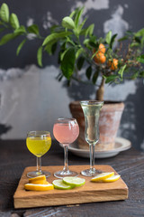 Assorted Homemade Citrus Liqueurs Limoncello Served with Orange, Lime and Lemon Slices