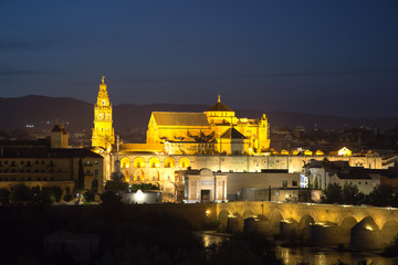 Fototapeta na wymiar Mezquita - Cathedral of Cordoba at night