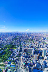 Landscape of Osaka city bird view in Japan 