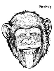 Chimpanzees face hand draw on white background 