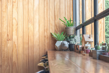 Wooden table and cactus on the table in the coffee shop, wooden background