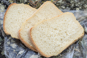 Sliced loaf of white bread on the nature in camping trip.