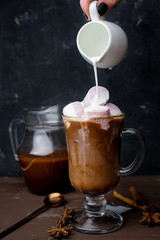 hot cocoa in a transparent mug with spices