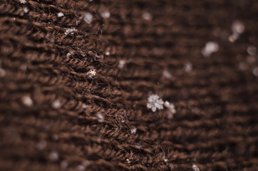 Snow flakes, Snow Crystals, Macro Lens Helios