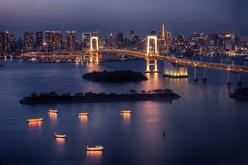 Fototapeta na wymiar Tokyo skyline with Tokyo Tower and Rainbow Bridge at night in Japan