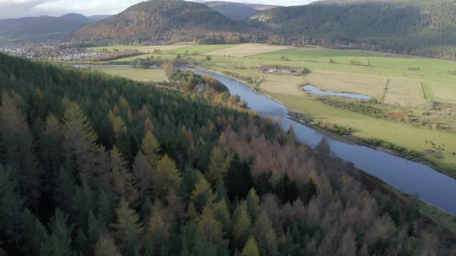Aerial view flying over autumn fir trees towards the River Dee and the town of Ballater in the Cairngorms National Park, Aberdeenshire.