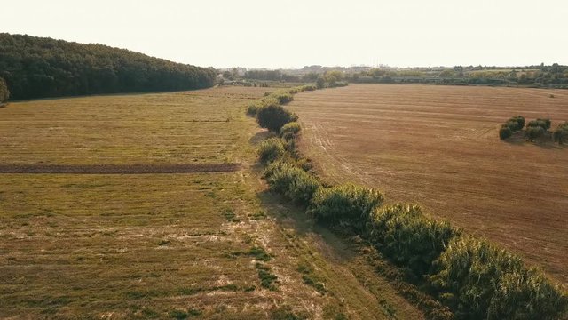 Aerial: Pasture and field in picturesque countryside and city in the backdrop