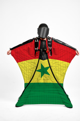 Senegal flag travel.