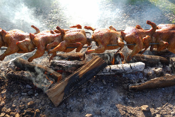 Barbecue tasty chickens in nature