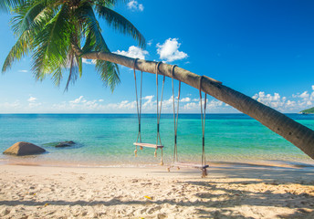Fototapeta na wymiar Beautiful tropical island beach with coconut palm trees and two swings, koh Tao, Thailand
