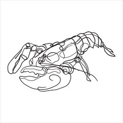 Lobster. Seafood. Vector illustration. Isolated image on white background.
