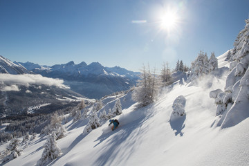Freeriden am Scalottas