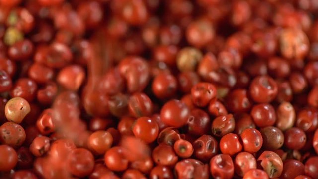 Food spices pink peppercorns red pepper Himalayan pepper berries. concept of fresh and dietary spices for cooking schools vegans and dietary products. Fall. Slow motion.