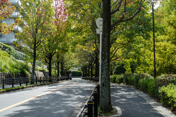 Obraz premium 大阪府吹田市佐竹台の街並み