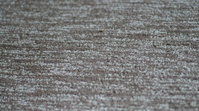 Synthetic carpet on the laminate in the home interior. Close-up texture of textile. background 4k video with place for your text. Copyspace