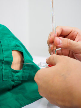 Closeup vertical detail of a physician measuring the lumbar pressure of a pediatric practice dummy using a manometer, used to diagnose meningitis. Healthcare and medical education.